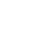 Icon Truck
